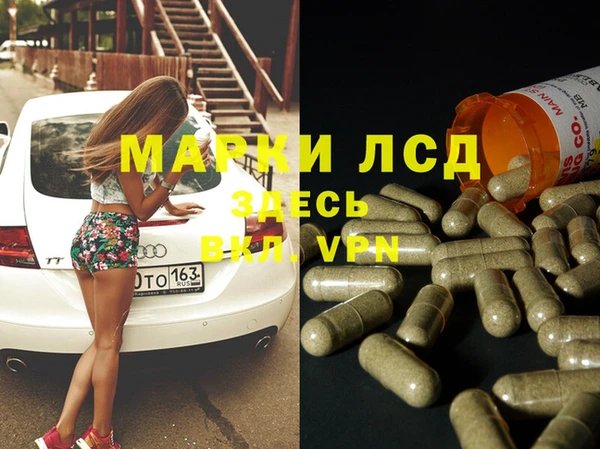 индика Алексин