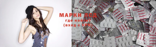 индика Алексин