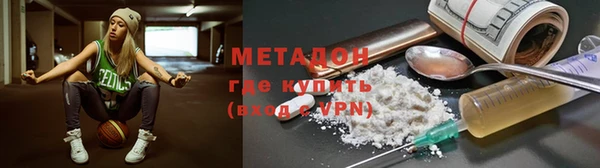 индика Алексин