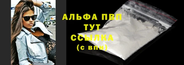 индика Алексин