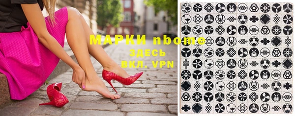 индика Алексин