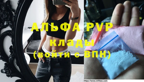 индика Алексин
