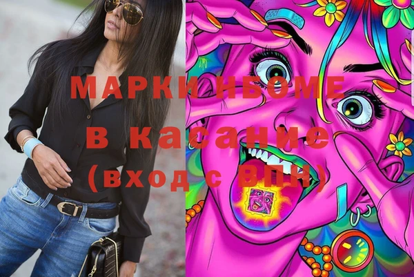 индика Алексин