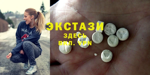 индика Алексин