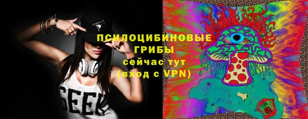 молекула духа Алзамай