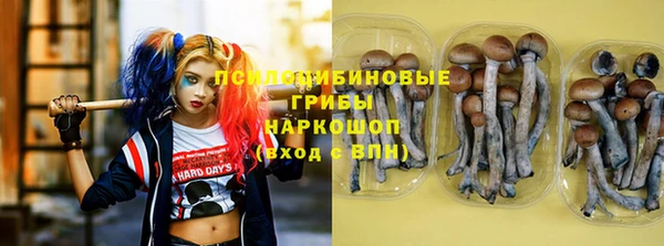 гидра Алексеевка