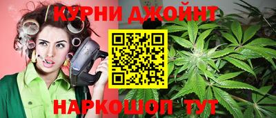 крисы Партизанск