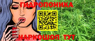 крисы Партизанск