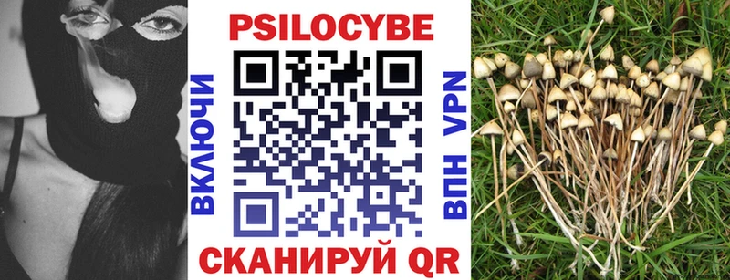 mega как войти  Арсеньев  Псилоцибиновые грибы Psilocybe 