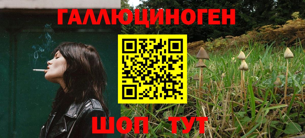 Арсеньев  Псилоцибиновые грибы Magic Shrooms  где продают наркотики  Вход с VPN 