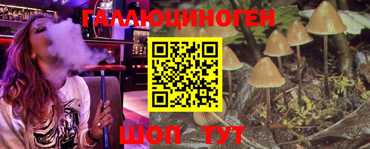 Псилоцибиновые грибы мицелий Арсеньев